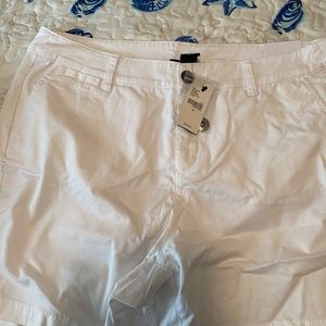 new Lane Bryant shorts